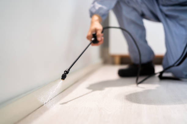Bed Bug Pre-Treatment Preparation Assessment in Horton