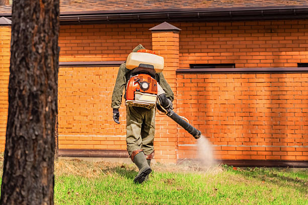 Bed Bug Clearance Verification and Documentation in Horton